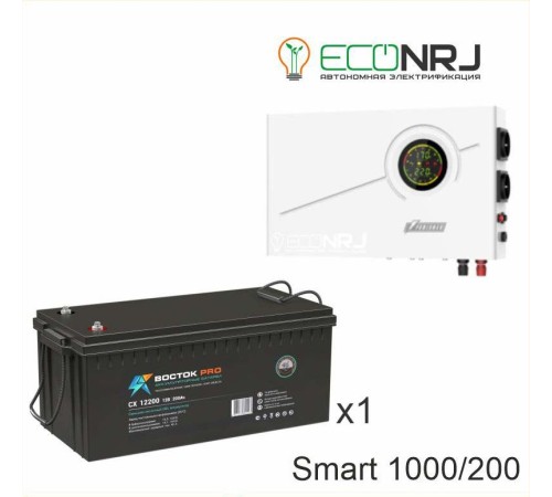 ИБП Powerman Smart 1000 INV + ВОСТОК PRO СХ-12200