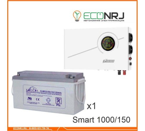 ИБП Powerman Smart 1000 INV + LEOCH DJM12150