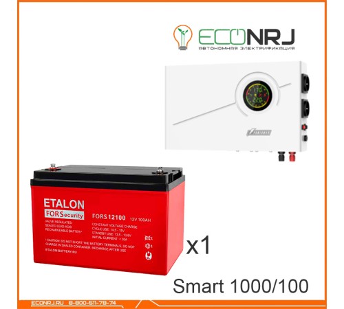 ИБП Powerman Smart 1000 INV + ETALON FORS 12100