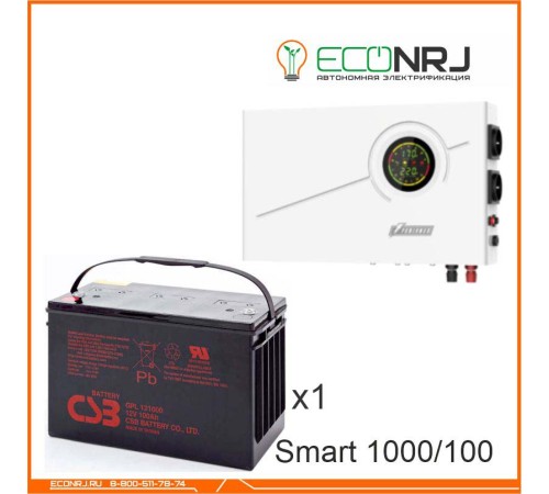 ИБП Powerman Smart 1000 INV + CSB GPL121000