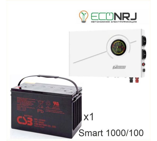 ИБП Powerman Smart 1000 INV + CSB GPL121000