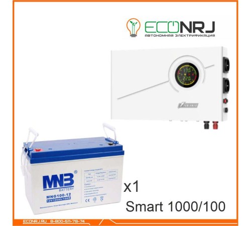 ИБП Powerman Smart 1000 INV + MNB MNG100-12