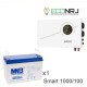 ИБП Powerman Smart 1000 INV + MNB MNG100-12