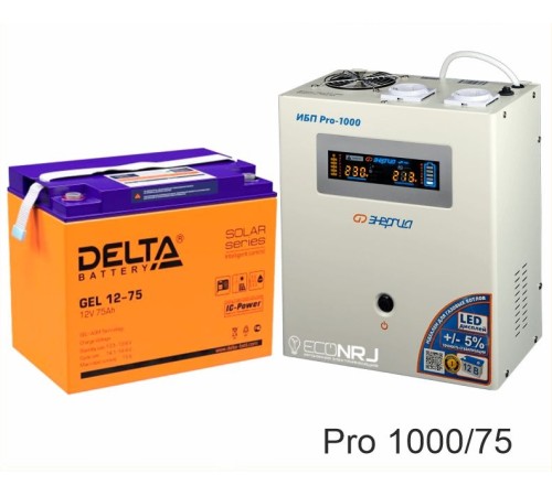 Энергия PRO-1000 + Аккумуляторная батарея Delta GEL 12-75