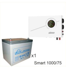 ИБП Powerman Smart 1000 INV + LEOCH DJM1275