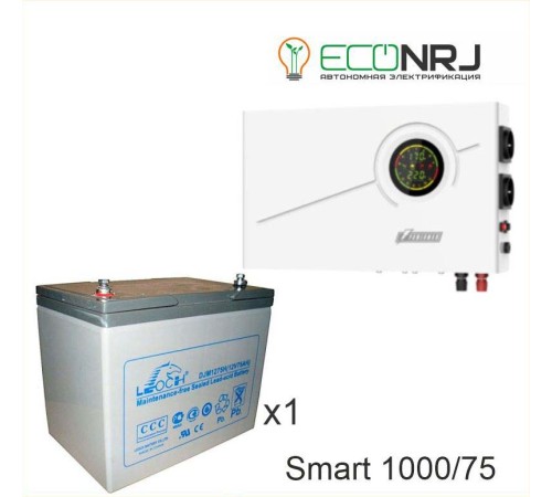 ИБП Powerman Smart 1000 INV + LEOCH DJM1275