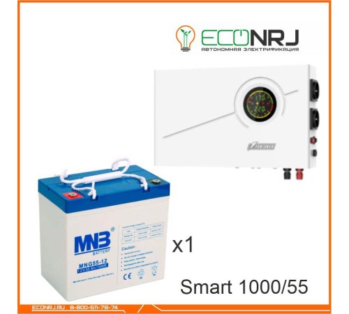 ИБП Powerman Smart 1000 INV + MNB MNG55-12