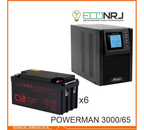 ИБП POWERMAN ONLINE 3000 Plus + CSB GPL12650