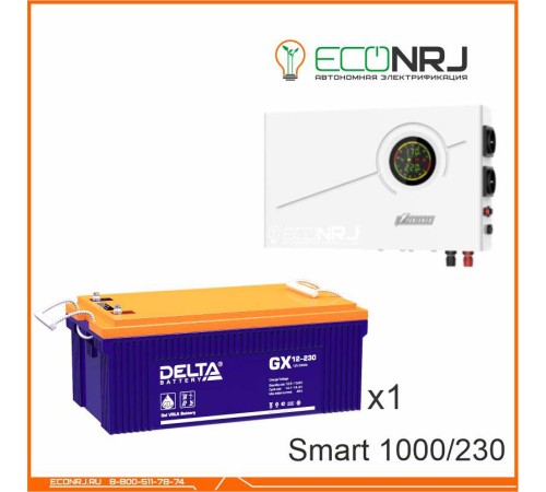 ИБП Powerman Smart 1000 INV + Delta GX 12-230