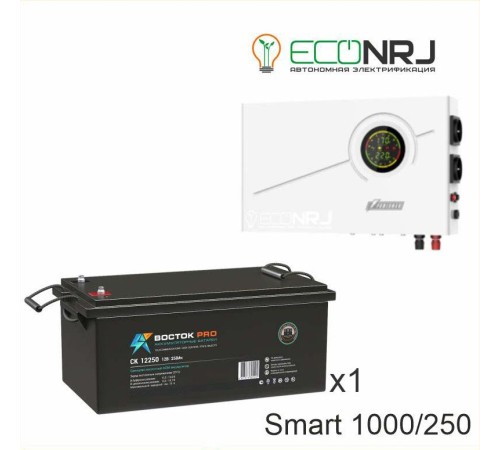 ИБП Powerman Smart 1000 INV + ВОСТОК PRO СК-12250