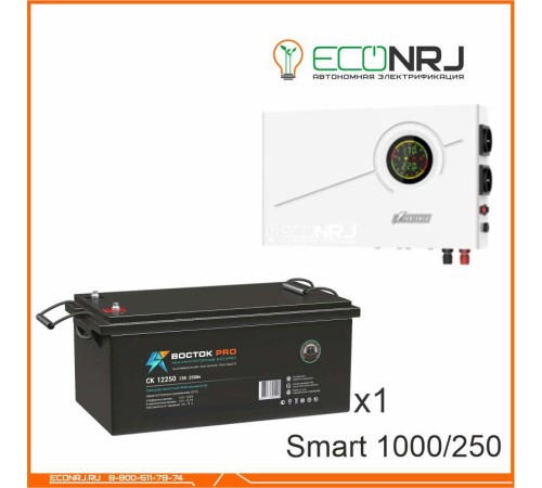 ИБП Powerman Smart 1000 INV + ВОСТОК PRO СК-12250