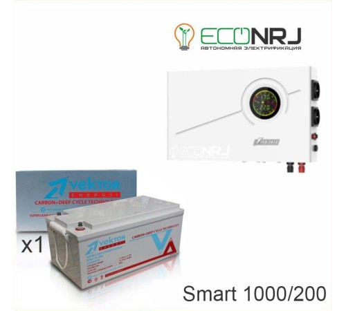 ИБП Powerman Smart 1000 INV + Vektor VPbC 12-200