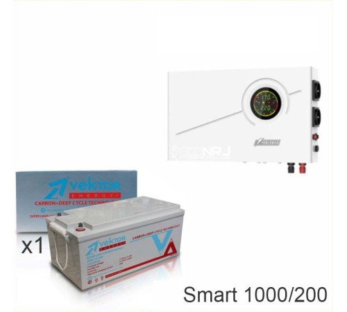 ИБП Powerman Smart 1000 INV + Vektor VPbC 12-200