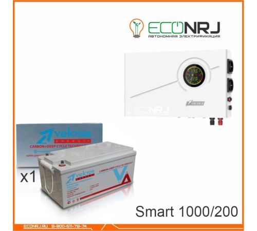 ИБП Powerman Smart 1000 INV + Vektor VPbC 12-200