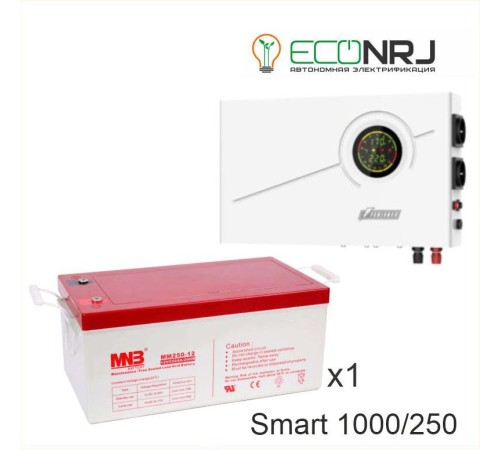 ИБП Powerman Smart 1000 INV + MNB MМ250-12