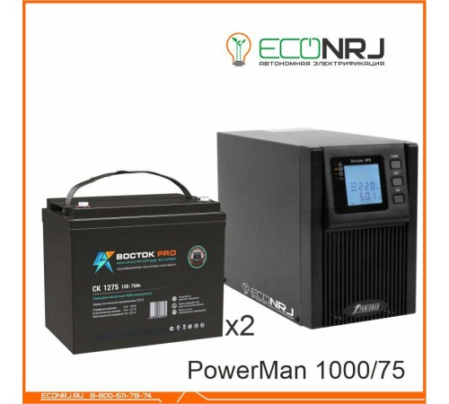 ИБП POWERMAN ONLINE 1000 Plus + ВОСТОК PRO СК-1275