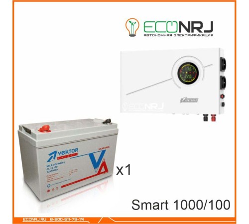 ИБП Powerman Smart 1000 INV + Vektor GL 12-100