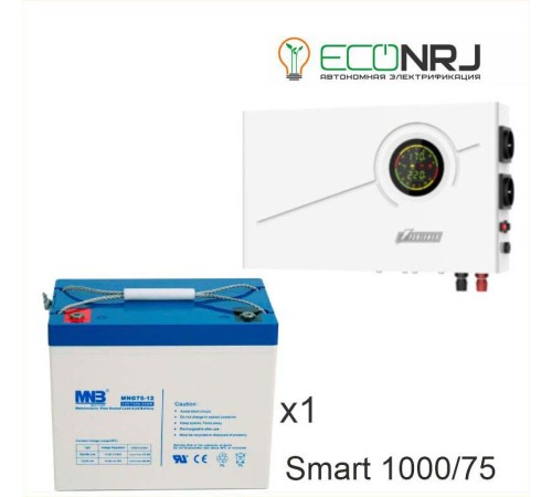 ИБП Powerman Smart 1000 INV + MNB MNG75-12