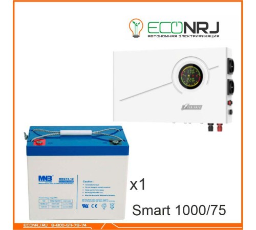 ИБП Powerman Smart 1000 INV + MNB MNG75-12