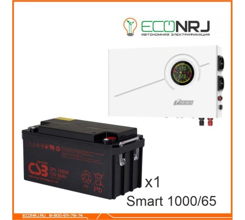 ИБП Powerman Smart 1000 INV + CSB GPL12650